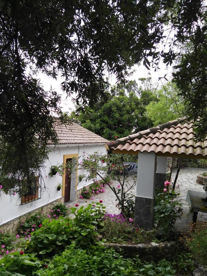 Casa El Cerro Villa El Bosque Eksteriør bilde