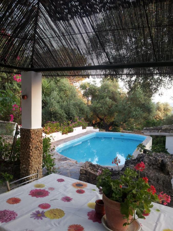Casa El Cerro Villa El Bosque Eksteriør bilde